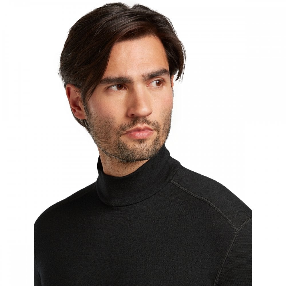 Mens Merino 260 Tech Long Sleeve Turtleneck Thermal Top